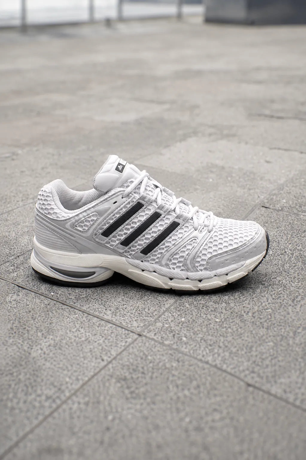 Adidas Zapatillas Hombre Adistar Control 5 Silver Metallic Who killed Bambi?